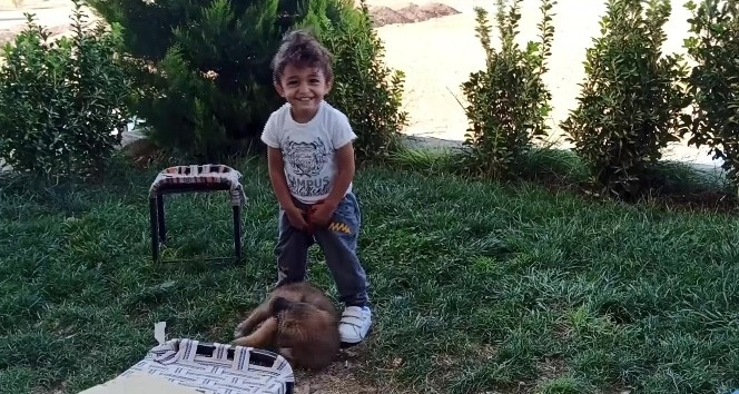 Minik çocukla yavru köpeğin oynaması kameraya yansıdı