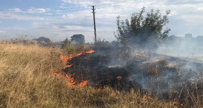 Tarlada çıkan yangın, evlere ulaşmadan söndürüldü
