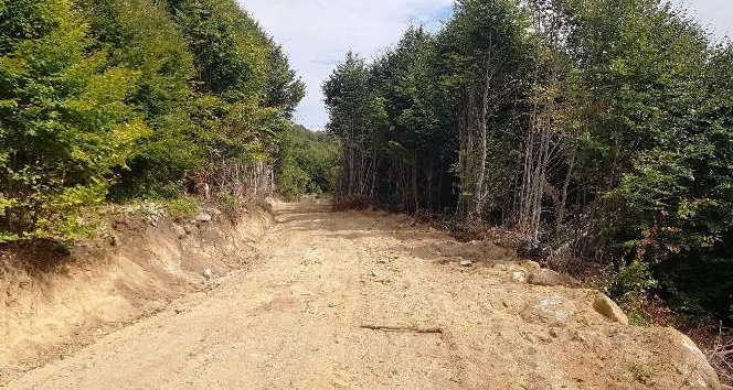 Kütahya’da yeni orman yolları açılıyor