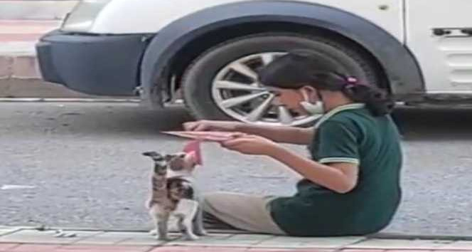 Batman’da küçük kızdan yürek ısıtan davranış: Yemeğini sokak kedisiyle paylaştı