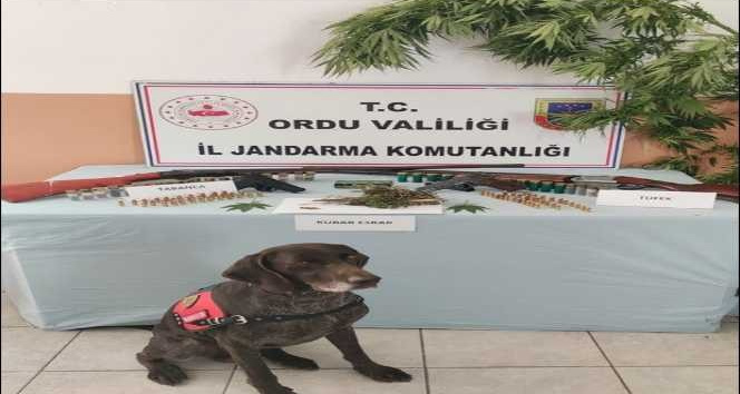 Ordu’da uyuşturucu operasyonu