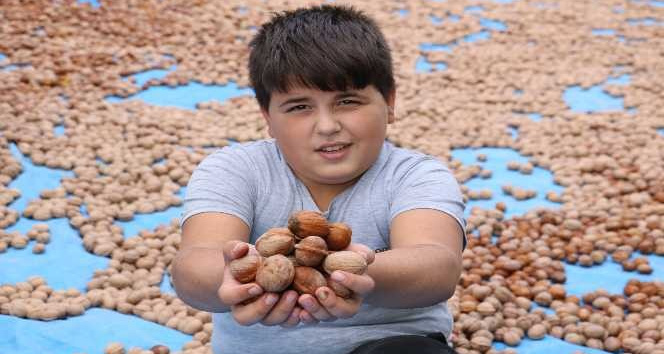 Kahramanmaraş’tan 10 bin ton tescilli ceviz ihracatı