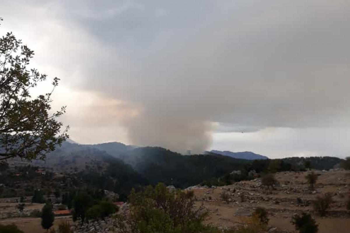 Manavgat&#039;taki orman yangını kontrol altında