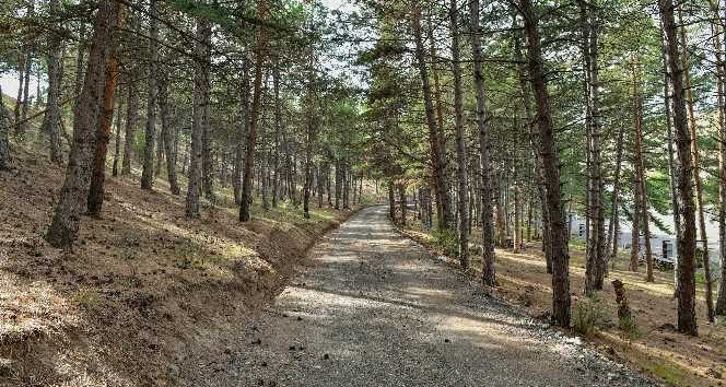 Karaköy Mesire Alanı hizmete açıldı