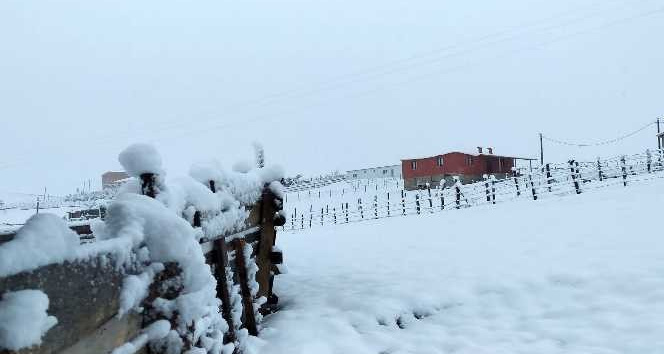 Gümüşhane’nin yüksekleri beyaza büründü