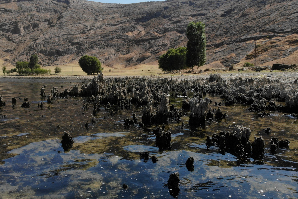 Van Gölü’nün suyu çekildi binlerce yıllık mikrobiyalitler gün yüzüne çıktı