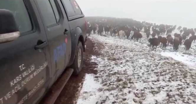 Allahuekber Dağları’nda kar ve tipide mahsur kalan iki çoban kurtarıldı