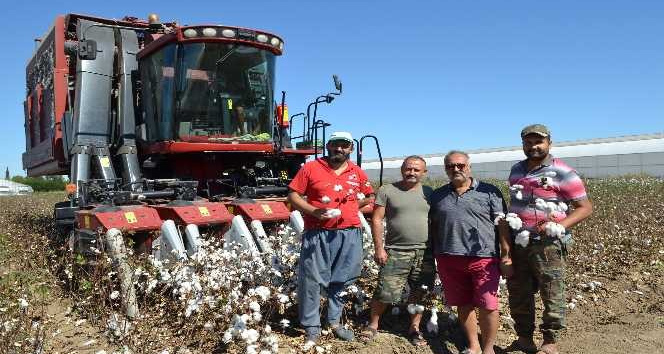 Beyaz altında hasat başladı, üretici ANTBİRLİK fiyatını bekliyor