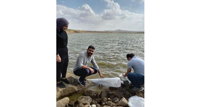Şırnak’ta baraj ve göletlere 337 bin balık bırakıldı