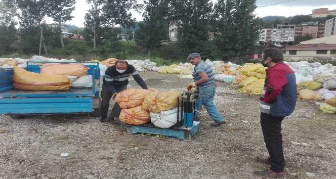 Ordu’da toptan elma alımları sürüyor