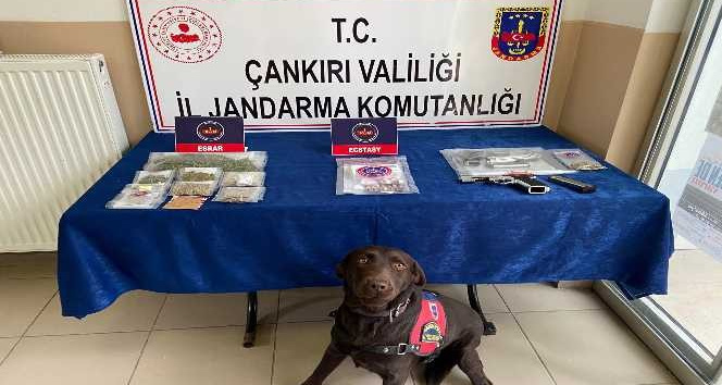 Çankırı merkezli 5 ilde eş zamanlı uyuşturucu operasyonu: 37 gözaltı