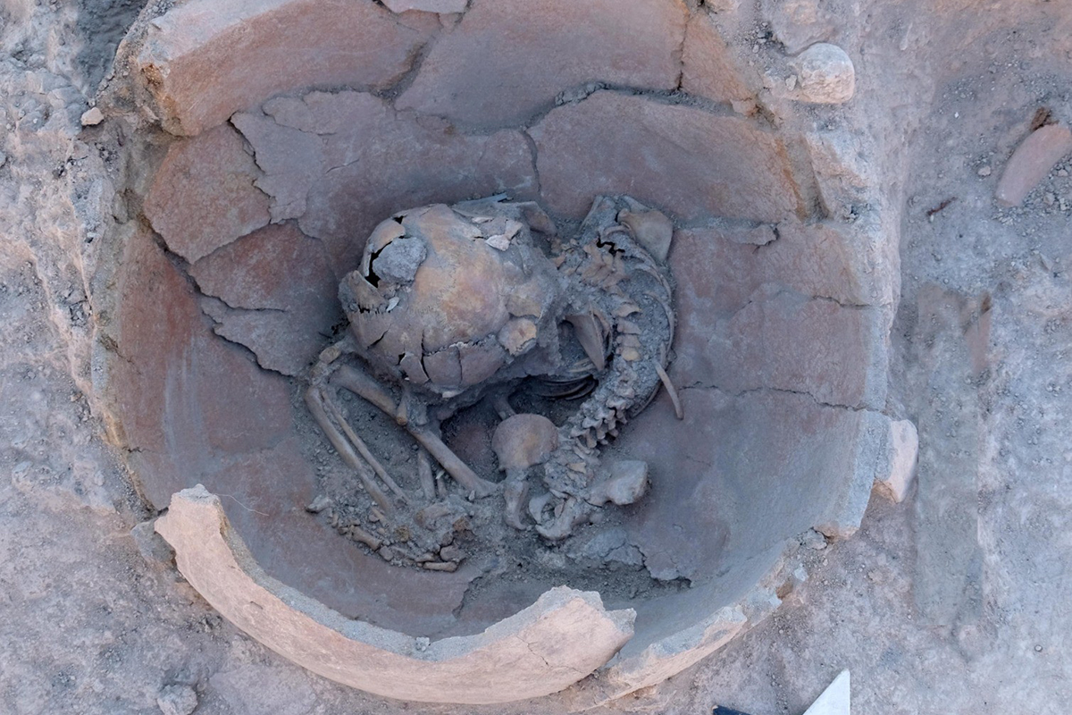 Arslantepe Höyüğü&#039;nde MÖ 3600 yılından kalma 2 çocuk iskeleti bulundu