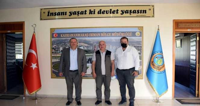 Seve Barajının çevresi ağaçlandırılacak