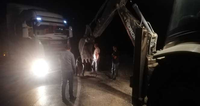 Şırnak’ta kömür yüklü kamyon yoldan çıktı