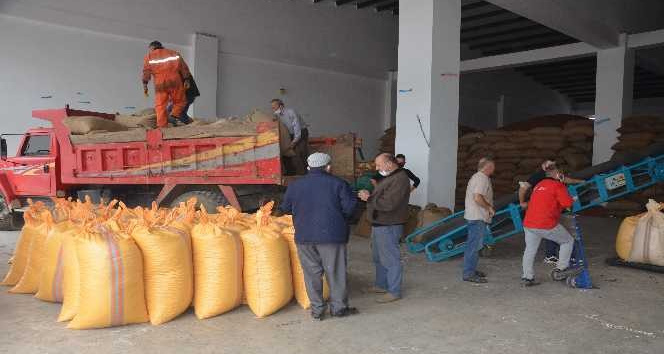 Ordu’da TMO’ya talep artıyor