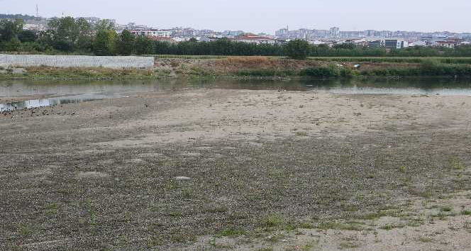 Meriç Nehri’nde kuraklık alarmı