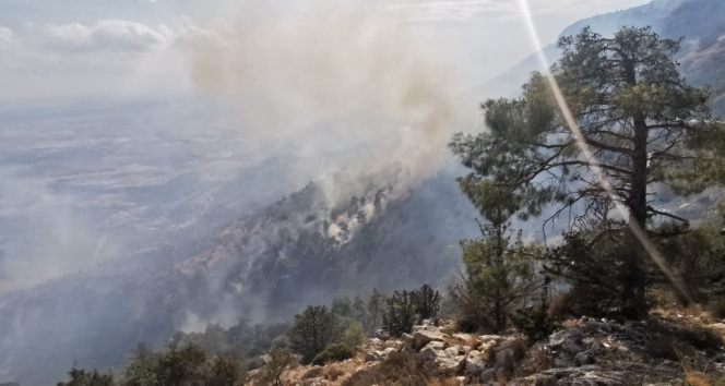 Türkiyeden KKTCdeki yangına helikopter desteği