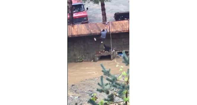 Dere yatağında mahsur kalan köpeği vatandaşlar kurtardı