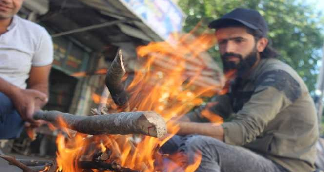 Zeytin hasadında geleneksel yöntem ’sırık’