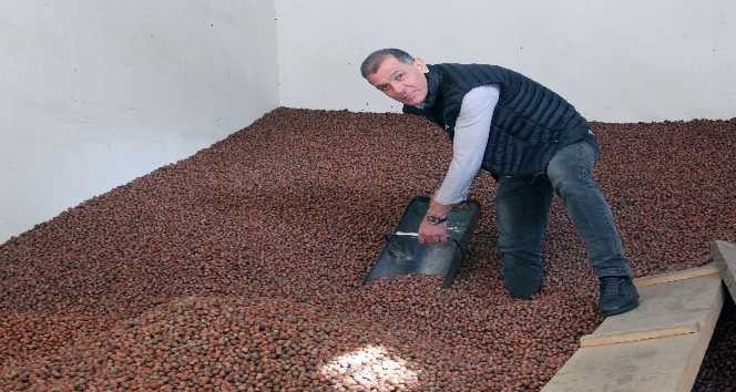 Fındık üreticide 24, rafta 80 lira