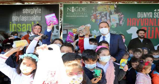 Niğde Belediyesi sokak hayvanları için ameliyathane açtı