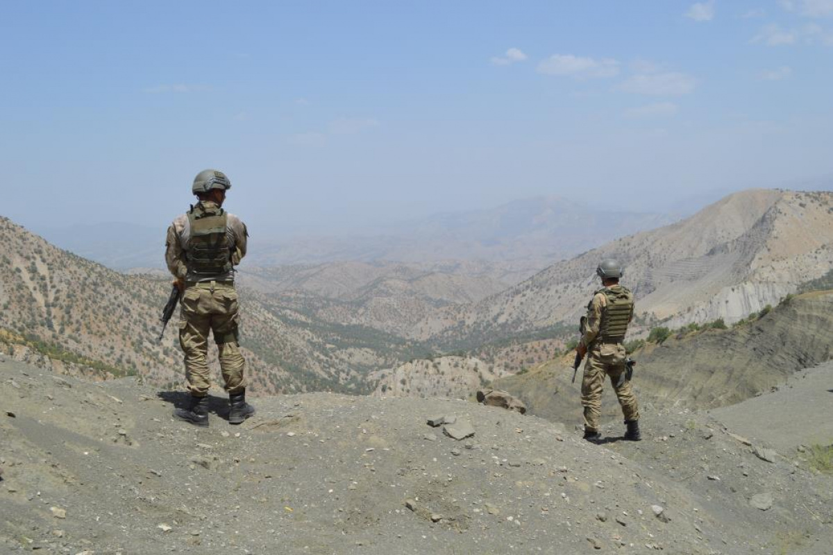 Şırnak'ta Besta operasyonu