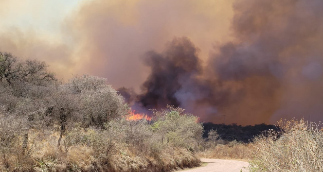 Arjantinde çıkan orman yangınlarından 2 ad öldü