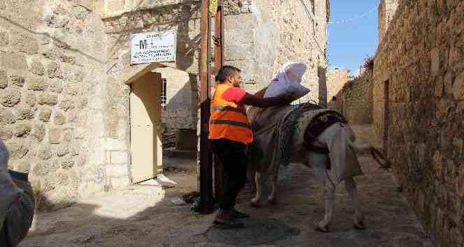 Mardin eşekleri restorasyon çalışmalarında da mesai yapıyor