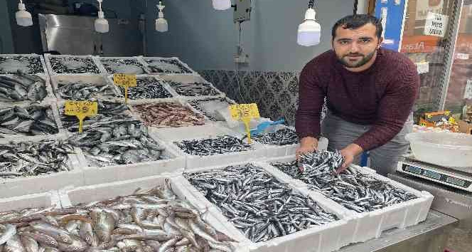 Hamsi 15 TL’ye düştü, tezgahlar şenlendi