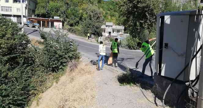 Şenoba belediyesinden sonbahar temizliği
