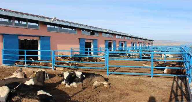 Sivas’ta TKDK sayesinde bin 250 proje hayat buldu