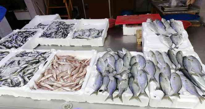Hava şartları balık fiyatlarını olumsuz etkiledi