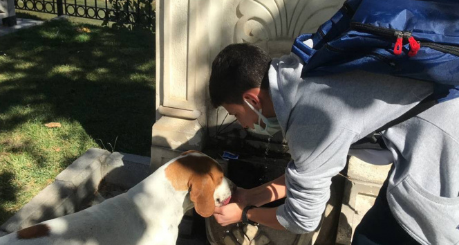 Vefalı köpek, kendisine su içiren öğrenciyi okuluna kadar takip etti