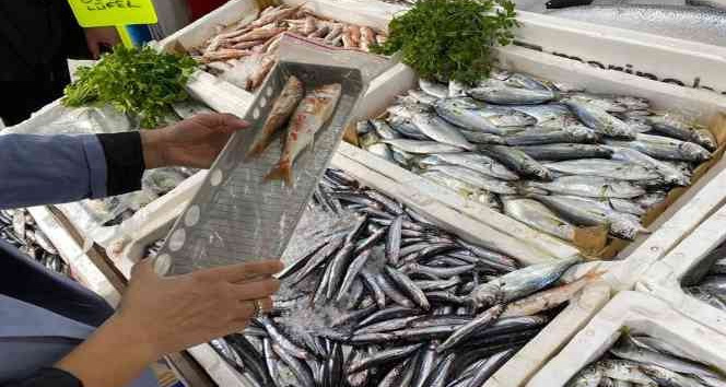 Iğdır’da perakende balık satışı yapan yerler denetlendi