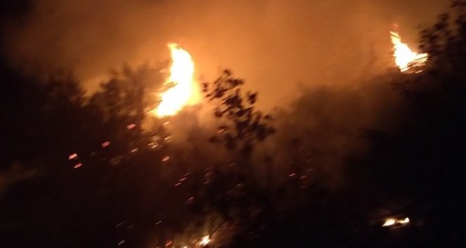 Lübnanın kuzeyindeki orman yangınına kargaşa müdahalesi