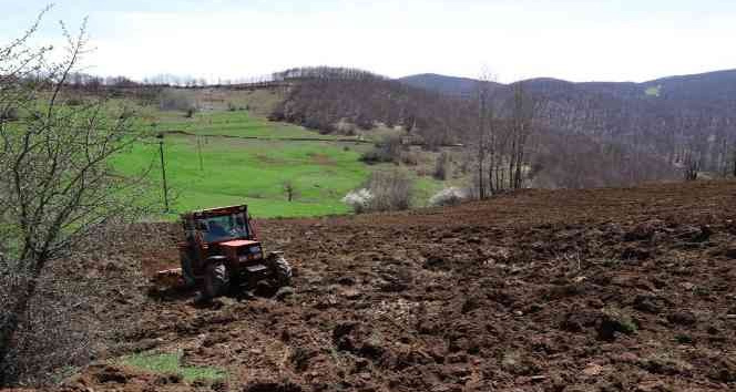 Ordu’da atıl araziler çiftçilere cansuyu oldu