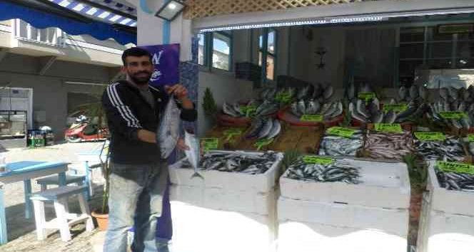 Marmara’da sıcaklık düşünce balık fiyatları geriledi