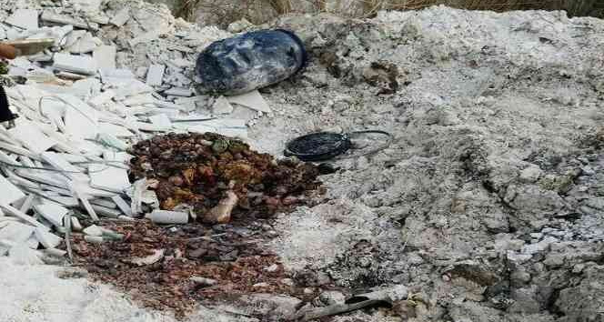 İzmir’de boş arazide insan vücudu parçaları bulundu