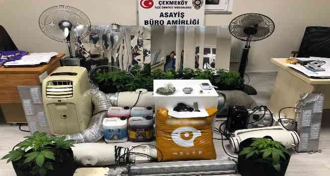 Çekmeköy’de, uyuşturucu yetiştirmek için evin bodrum katını seraya dönüştüren şüpheli yakalandı