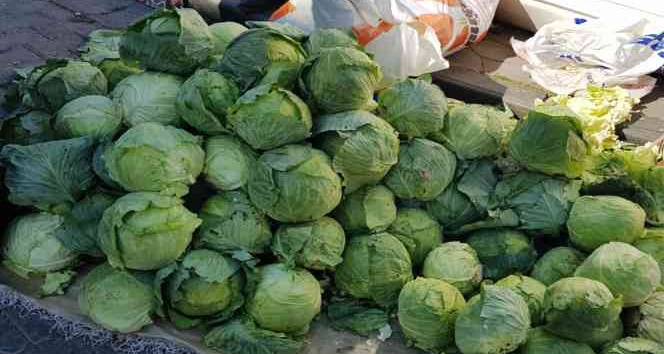 Üreticiler Alucra Keleminin tescillenmesini istiyor