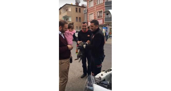 Bingöl’de aracın motor kısmına giren kediyi itfaiye ekipleri kurtardı