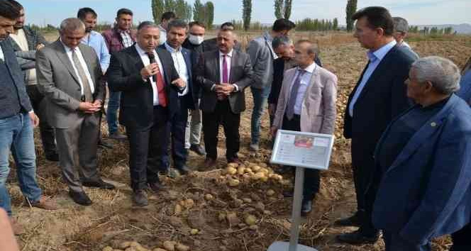 Yerli ve milli patates çiftçilere tanıtıldı