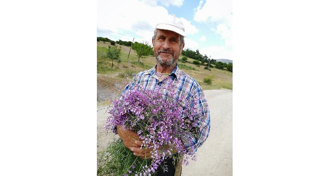 Kayıp şahsın cansız bedenine ulaşıldı