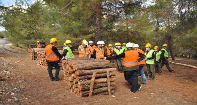 Orman işçilerine uygulamalı eğitim verildi