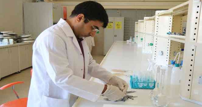 Balık derisinden jelatin