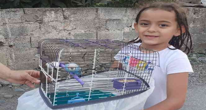 İtfaiyeciler kafesinden kaçan muhabbet kuşu için seferber oldu