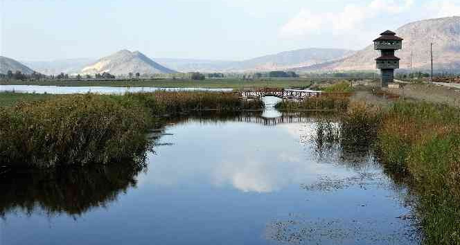 Kaz gölünde sonbahar