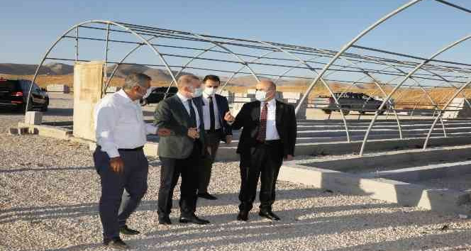 “Daha yeşil bir Mardin için kendi fidanımızı kendimiz üreteceğiz”