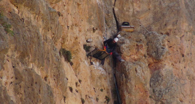150 metrelik kayalıklardan onma deposu bulunan kayaç balını topladı