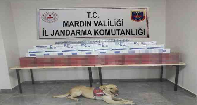 Mardin’de çantacılara jandarma operasyonu
